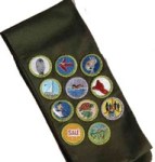 Boy Scout sash-small