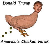 Chicken Hawk